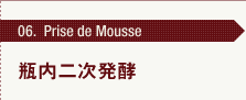06. Prise de Mousse r񎟔y