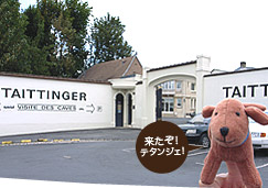 来たぞ! テタンジェ!