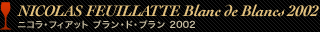 NICOLAS FEUILLATTE Blanc de Blancs2002 ニコラ・フィアット ブラン・ド・ブラン2002